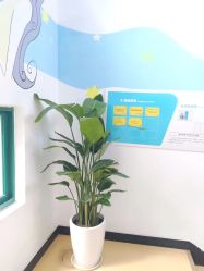 -美丽妈妈产后恢复中心(温州瑞安中心)