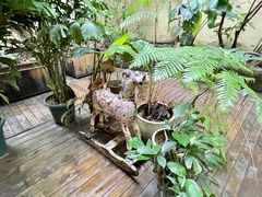 -懒鱼时光馆(沙坪坝店)