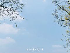 -东湖磨山景区