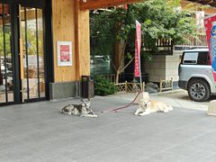 -大江户·温泉洗浴(浑南店)
