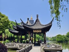 -红梅公园