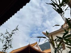 -深圳仙湖植物园
