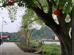 -玉龙寨旅游景区