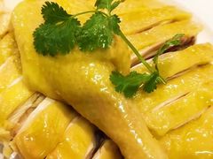 -新高记·粤菜·湛江鸡(南头古城店)