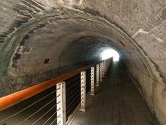 -白水寺森林公园