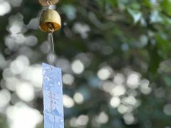 -简象咖啡CAFE ELE JANE(满陇桂雨店)
