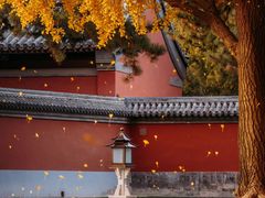 -故宫博物院(故宫)