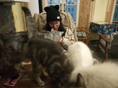 -猫色咖啡·猫咖