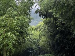 -苏州环秀晓筑养生度假村