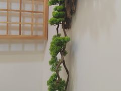 -手爱盲人推拿按摩·精准调理(江宁金山路店)