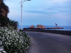 -枸杞岛
