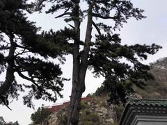 -圣莲山风景区