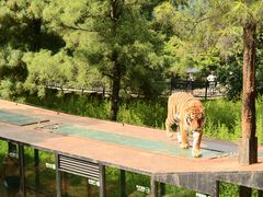 -云南野生动物园