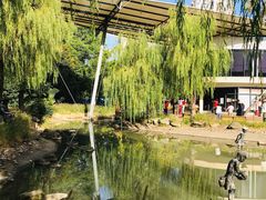 -苏州河梦清园环保主题公园