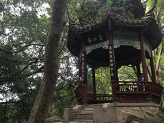 -乌山风景区