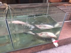 -湘楚情土菜馆(下沙店)