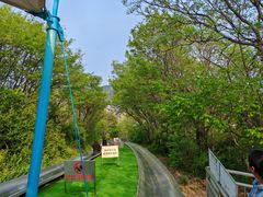 -富斯特索道
