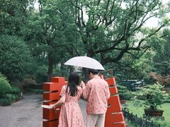 -申粤轩酒楼·三十年粤菜经典(丁香花园店)