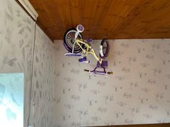 -金山农民画村-枫泾波兰倒置屋