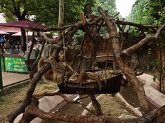 -杭州野生动物世界
