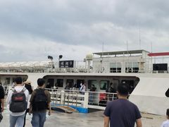 -枸杞岛
