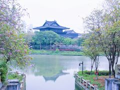 -海珠湖公园