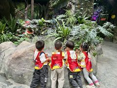 -全优加早教托育园(金海岸店)