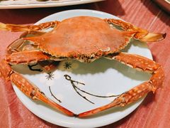 -宾朋海鲜饭庄(兴海路店)