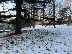 -元大都城垣遗址公园