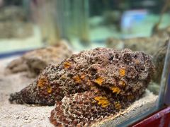 -太平洋海底世界