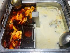 乌鸡猪肚锅-海底捞火锅(海宁路店)