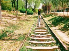 -永定河休闲森林公园