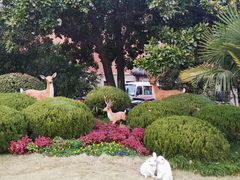 -南京钟山宾馆(江苏省会议中心)