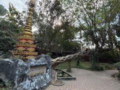 -瑞丽独树成林风景区