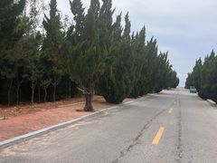 -养马岛旅游度假区