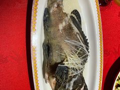 -白家大院·王府宫廷菜(苏州街店)