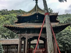 -报恩寺(平武县)