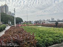 -珠江夜游广州塔·中大码头