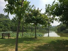 -华南师范大学(广州大学城校区)