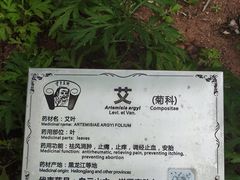 -广州神农草堂中医药博物馆