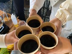 -长沙黑麋峰国家森林公园