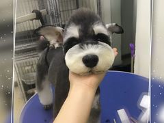 -沐沐家宠物(成寿寺店)