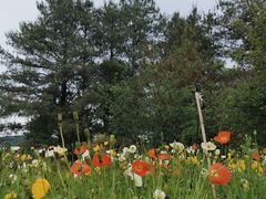 -名花谷生态庄园