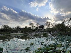 -上海滨江森林公园