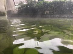 -杭州第一世界大酒店·云曼温泉