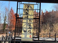 -溱湖国家湿地公园