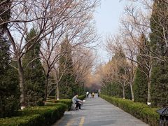 -大槐树寻根祭祖园