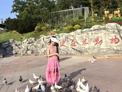 -大连森林动物园