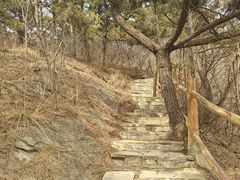 -西尖山公园