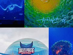 -海合安天津极地海洋公园